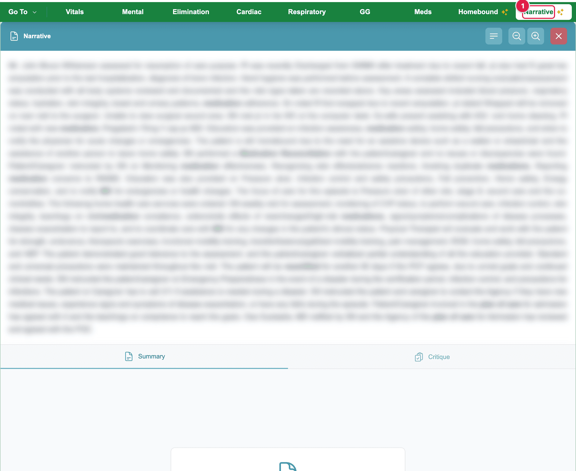 The Narrative panel with the Summary and Critique tabs